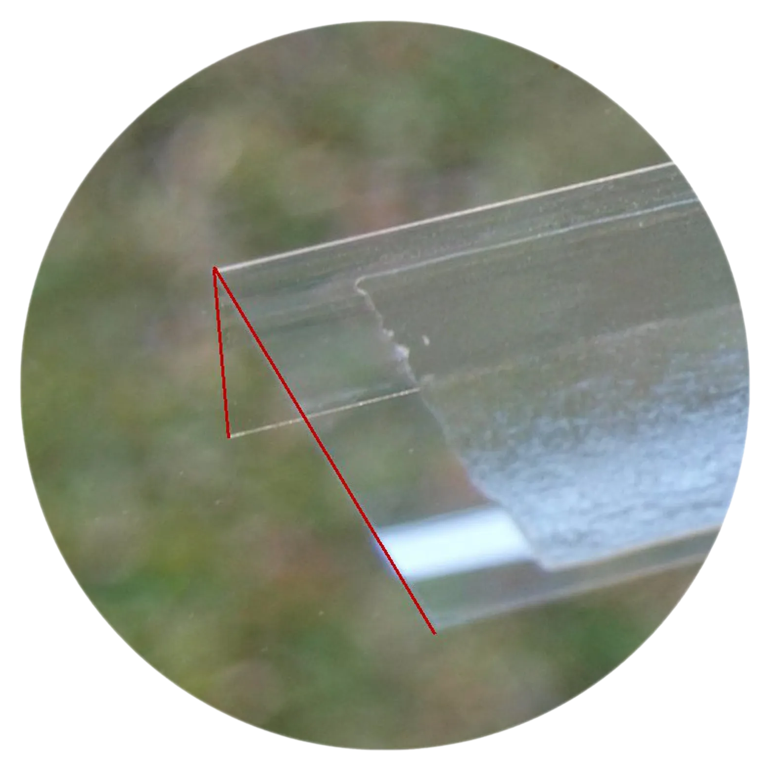 Fenster-Fliegenfalle