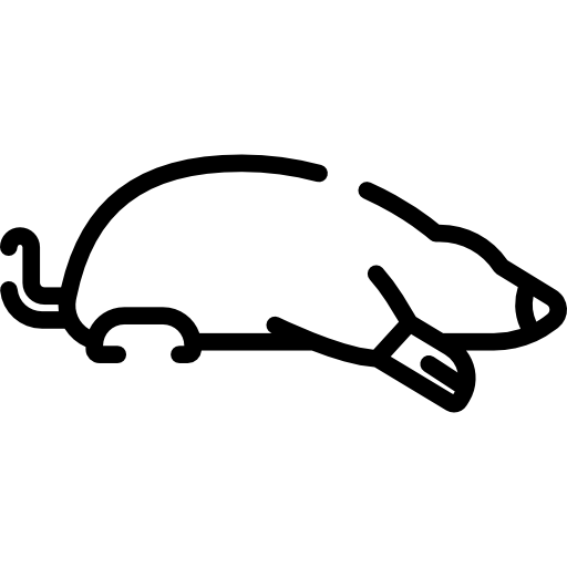 maulwurf