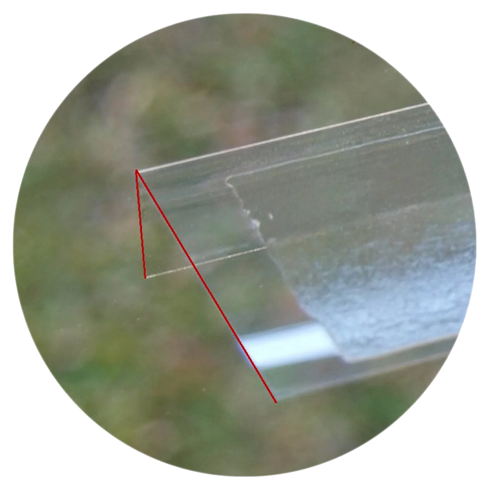 Fenster-Fliegenfalle