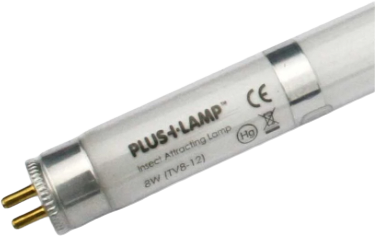 PlusLamp 8 Watt gerade, 12" - 300mm T5, bruchgeschützt